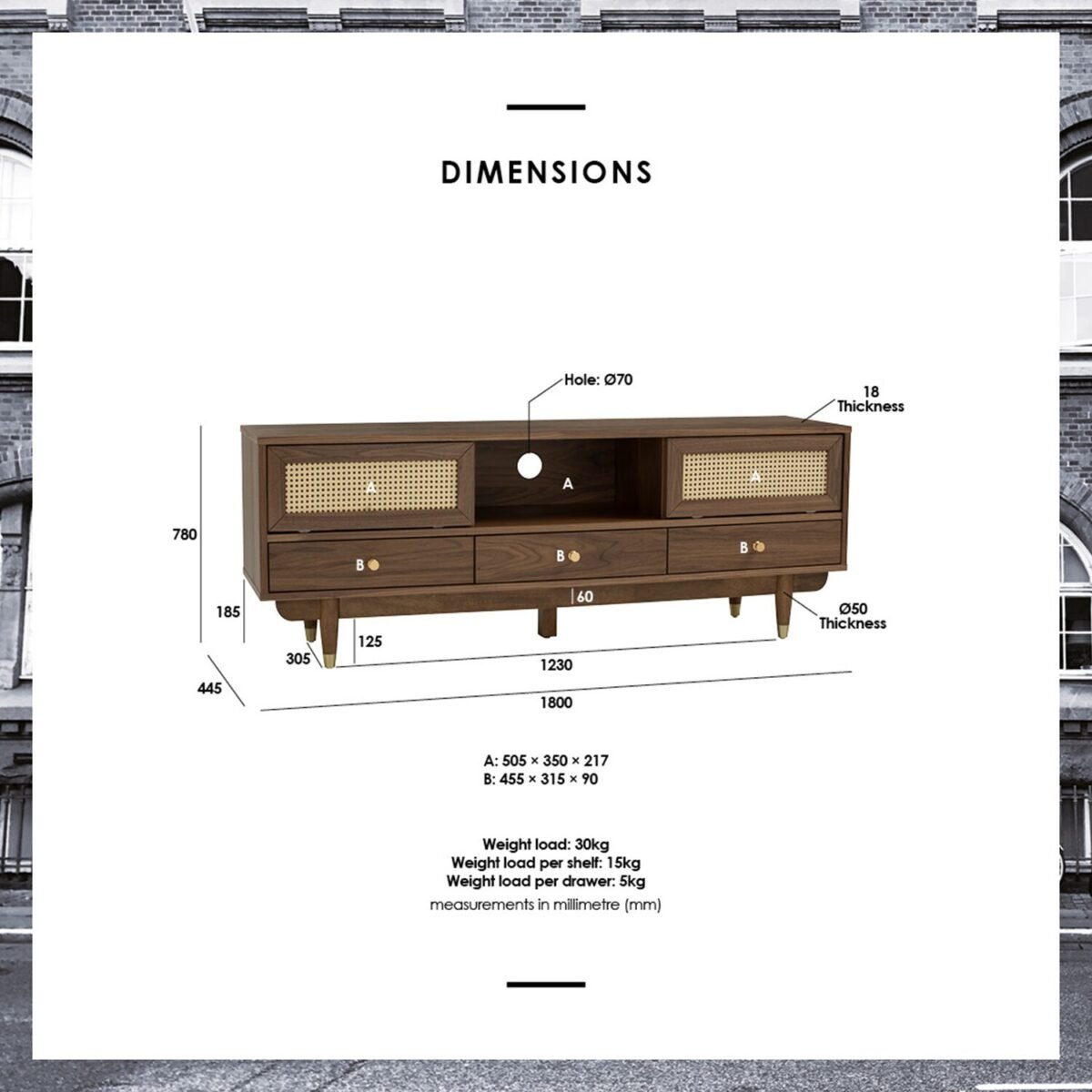 Denver Wood TV Cabinet - Image 6