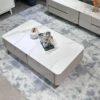 1.3M Elysia Solid Marble Stone Coffee Table - Image 5