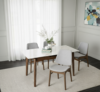 ERZA Dining Chair - Image 5